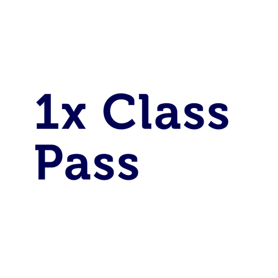1x Class Pass - RMIT Wushu & Taichi
